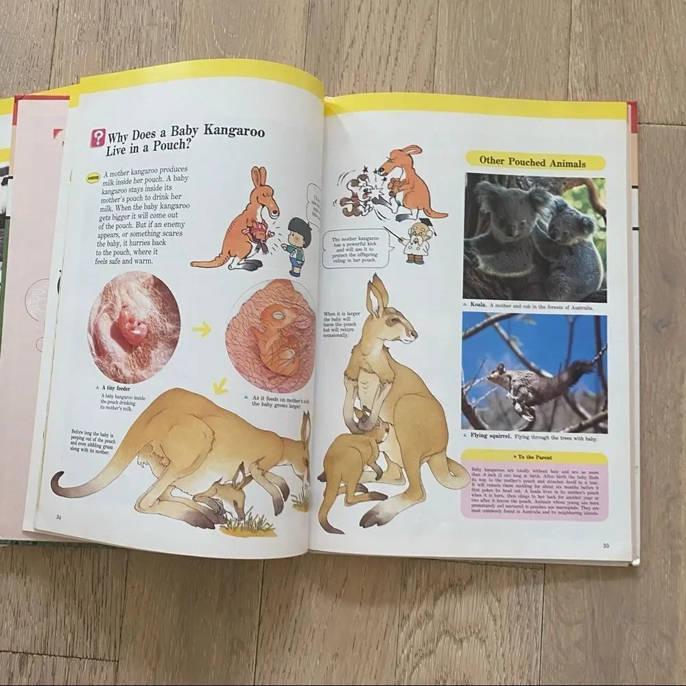 Children's Book Set Animals